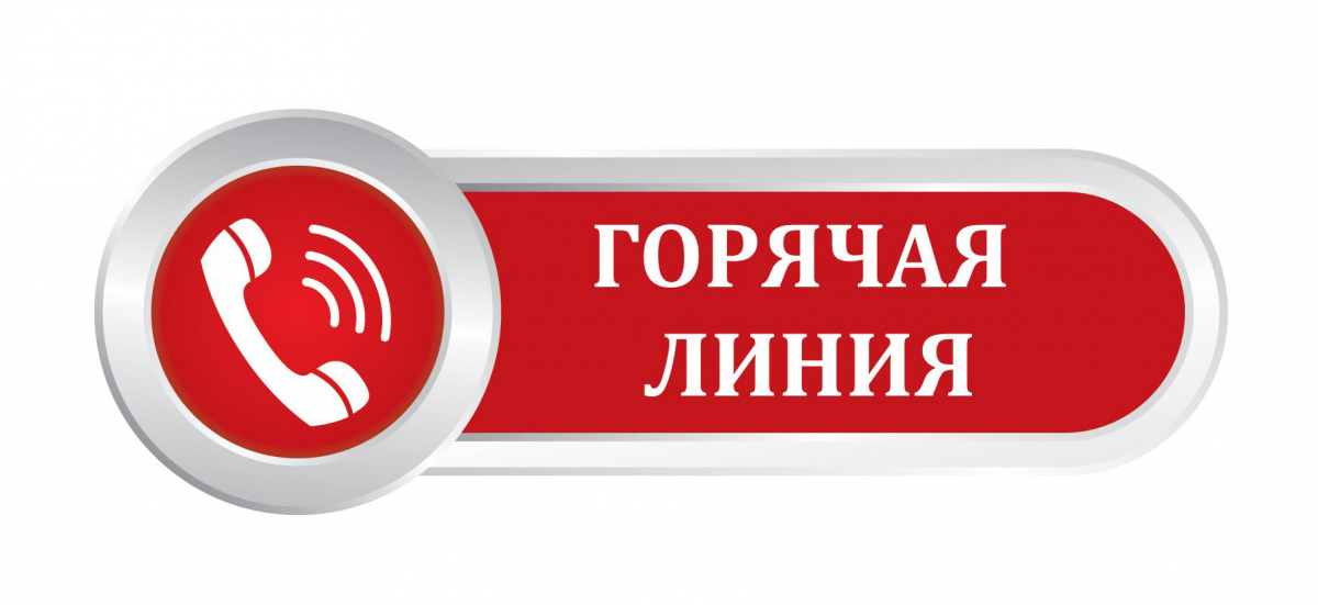 горячая линия овз